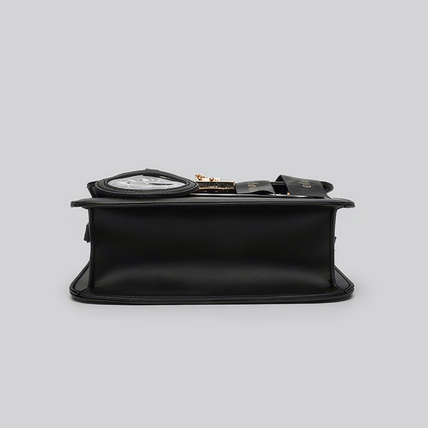 Clear Panel Ribbon Accent Mini Bag